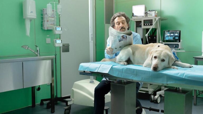 Animal: la spiegazione del finale di stagione della serie